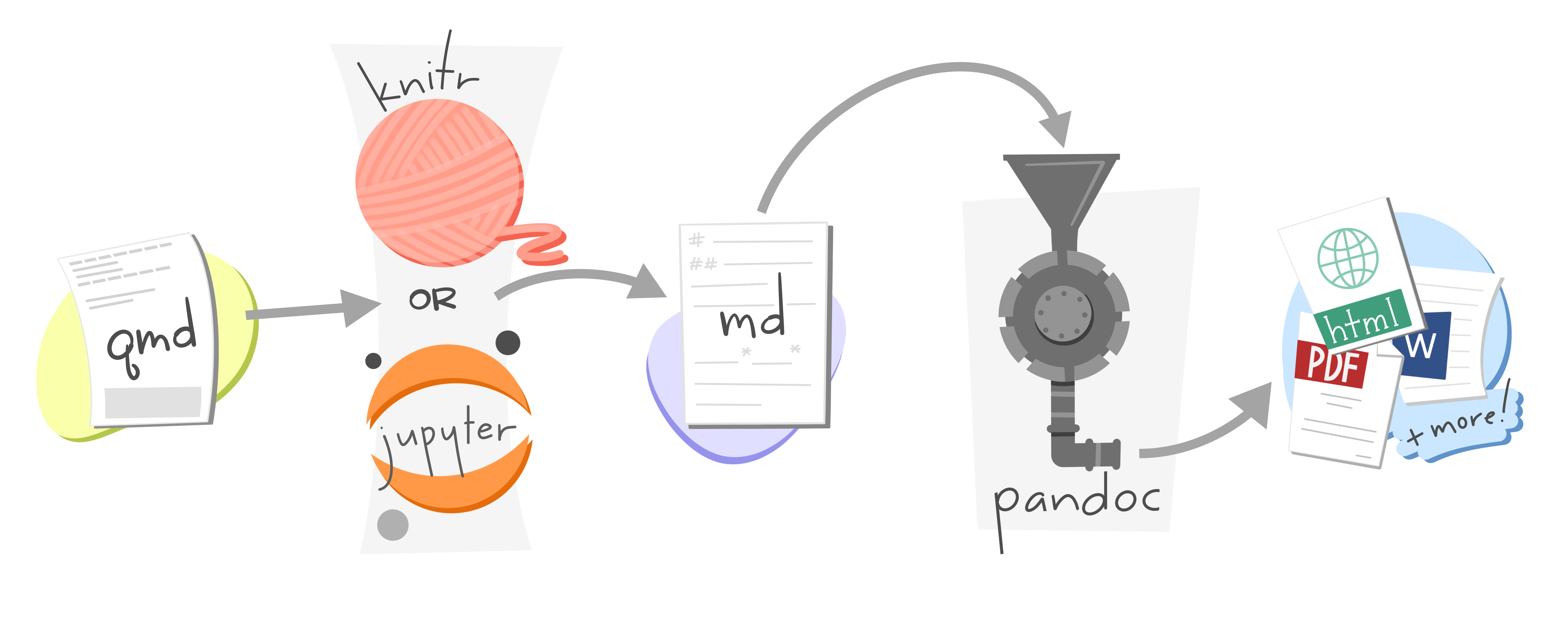 Illustrating to show that qmd files are run through knitr or jupyter; to convert to an md file; then pandoc converts that md into HTML, or PDF or Word or more